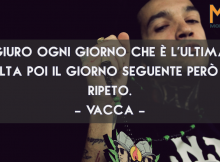[Citazioni] Frasi e Aforismi di Vacca da condividere su Facebook