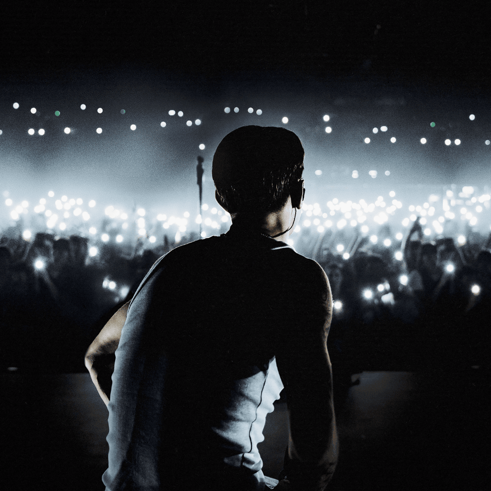 Cover della canzone 'We Shine' di 22simba