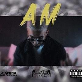 Cover della canzone 'Pizza Kebab (Remix)' di AM La Scampia