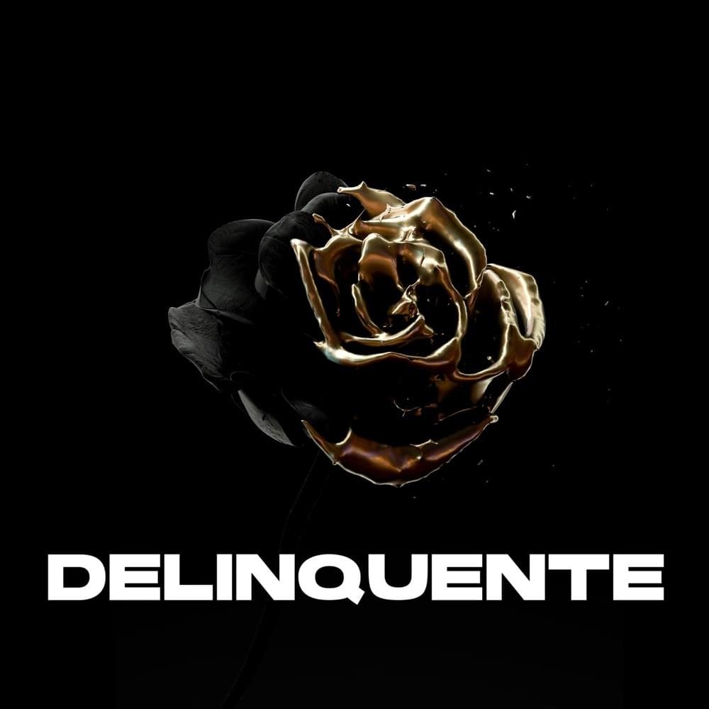 Cover della canzone 'Delinquente' di Aryarca ft. Ntò