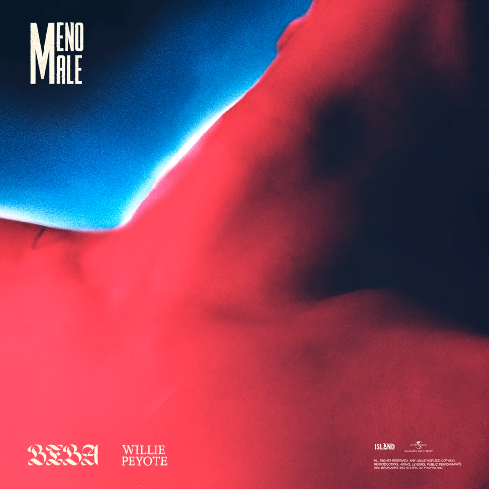 Cover della canzone 'Meno Male' di Beba ft. Willie Peyote