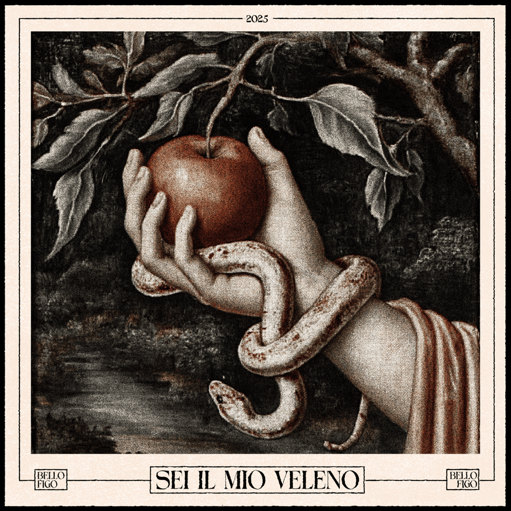 Cover della canzone 'SEI IL MIO VELENO' di Bello Figo