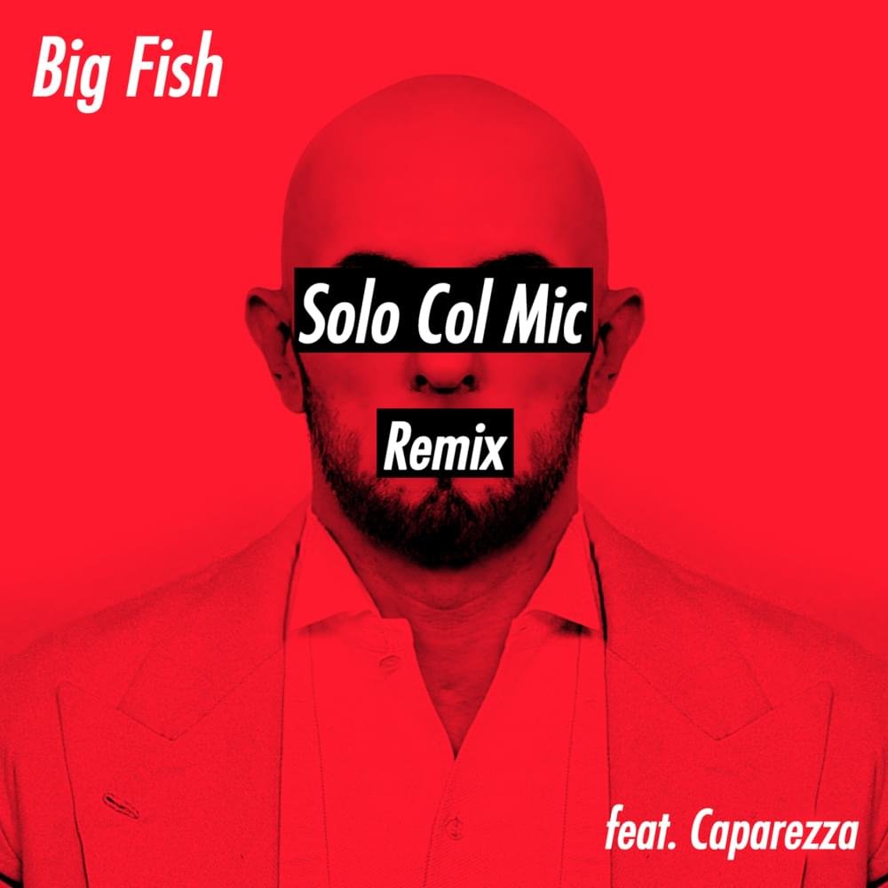 Cover della canzone 'Solo col Mic (Remix)' di Big Fish ft. Caparezza