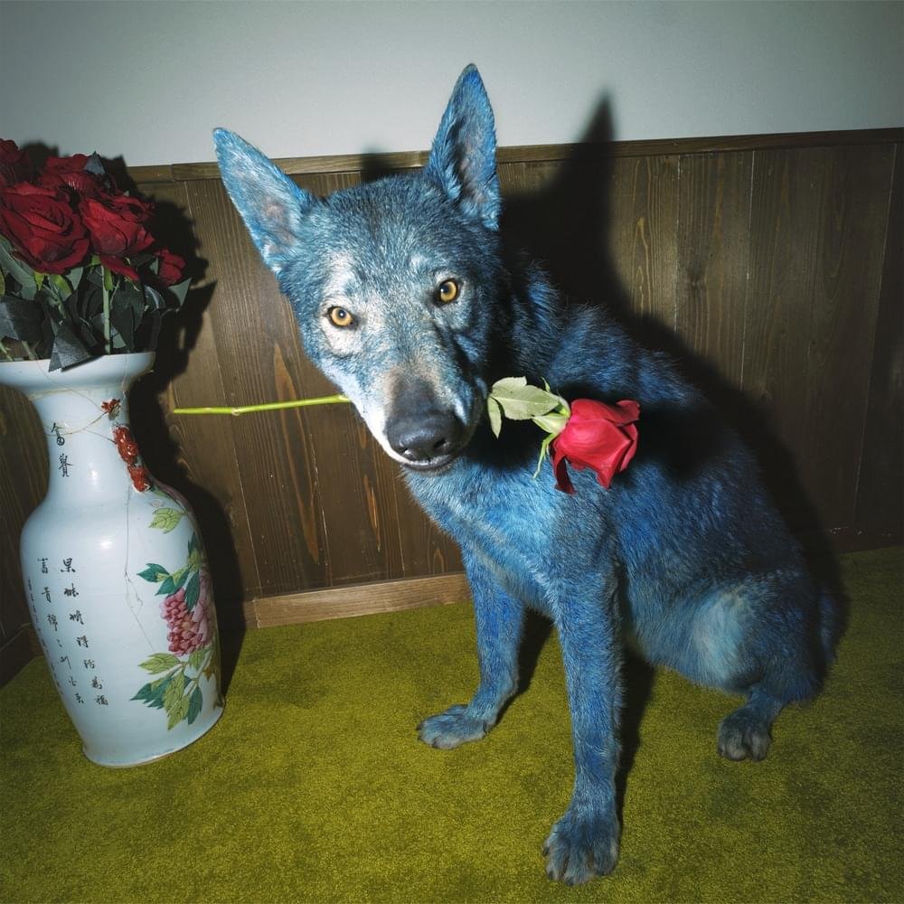 Cover della canzone 'L’Isola Delle Rose' di BLANCO