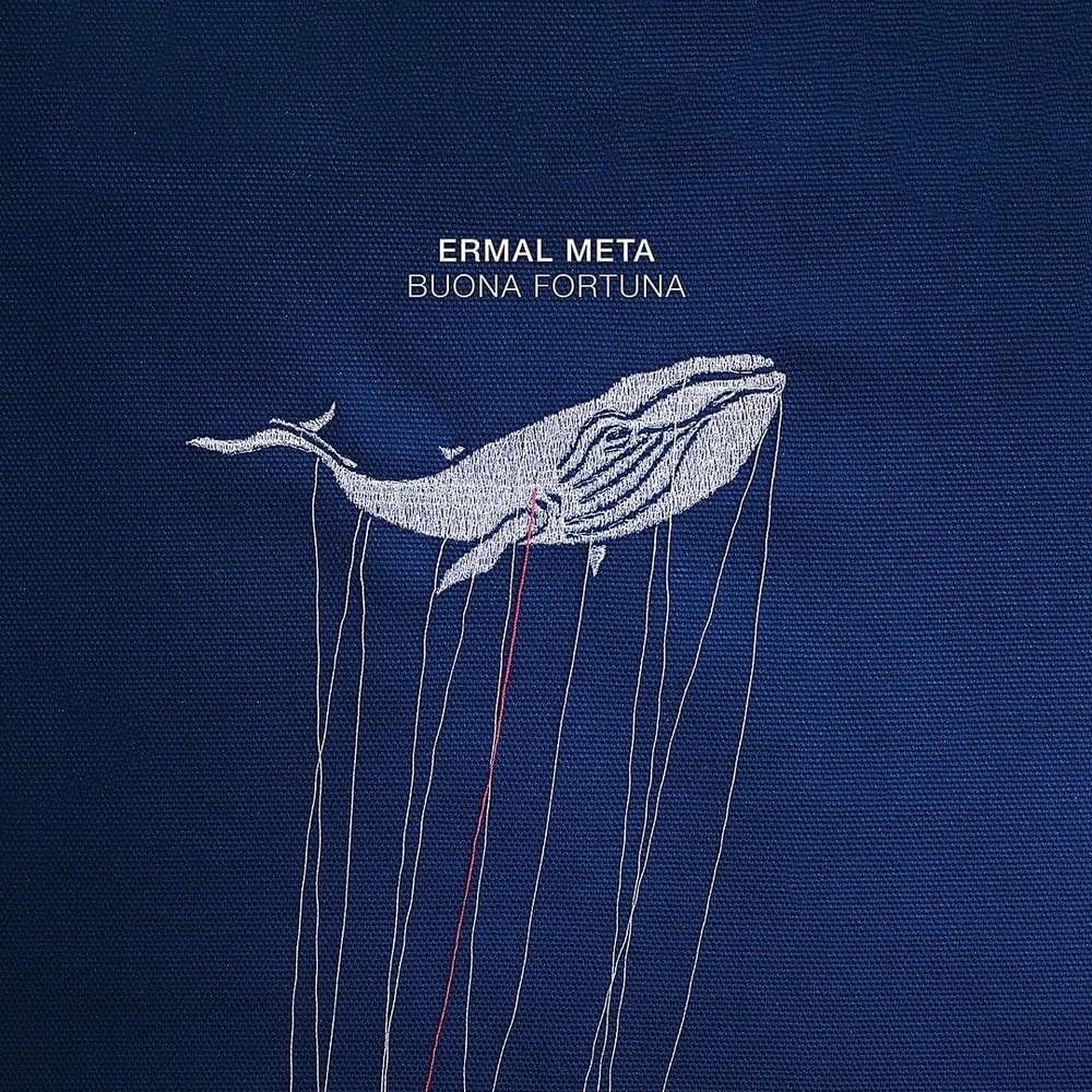 Cover dell'album 'Buona Fortuna'