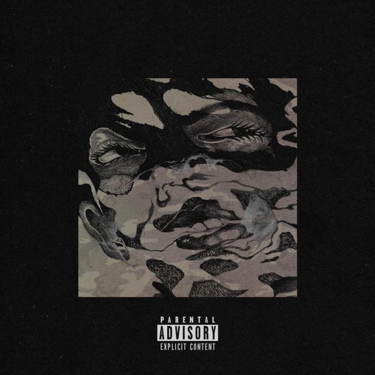 Cover dell'album 'Camouflage Shadows'