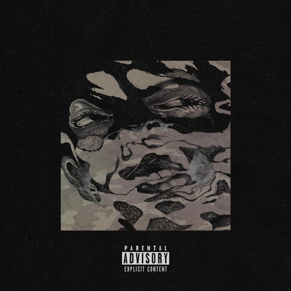 Cover dell'album 'Camouflage Shadows'