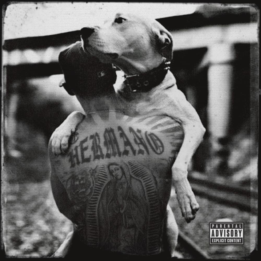 Cover della canzone 'Hermano' di Cancun ft. Samurai Jay