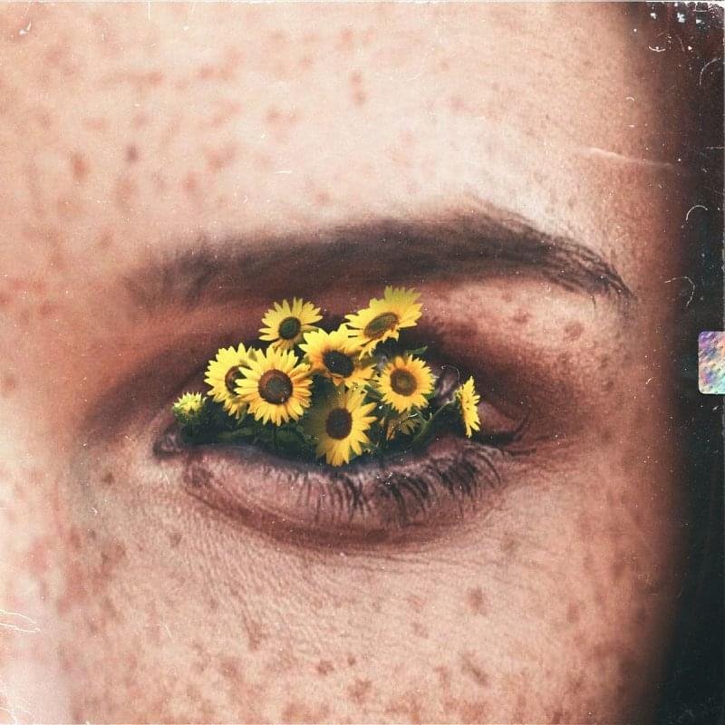 Cover della canzone 'Girasole' di Cicco Sanchez