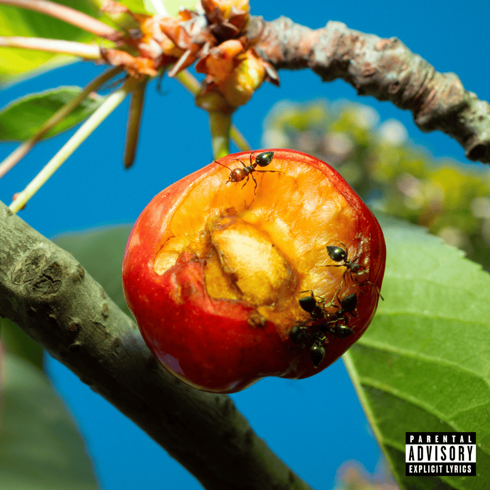 Cover dell'album 'DISCORDIA, ARMONIA E ALTRI STATI D’ANIMO'