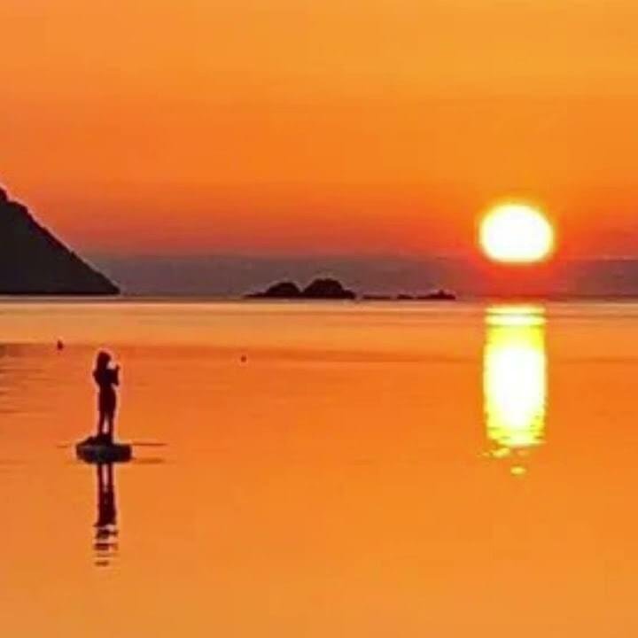 Cover della canzone 'MEU AMIGU' di DJ Treeplo