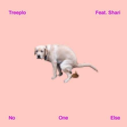 Cover della canzone 'NO ONE ELSE' di DJ Treeplo ft. Shari