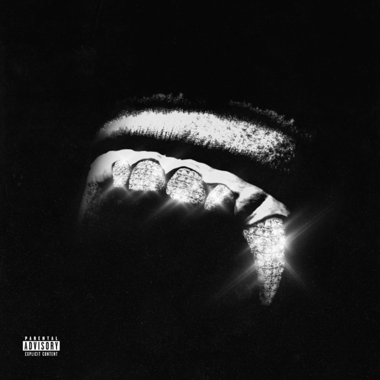 Cover dell'album 'DJUNGLE UNCHAINED'