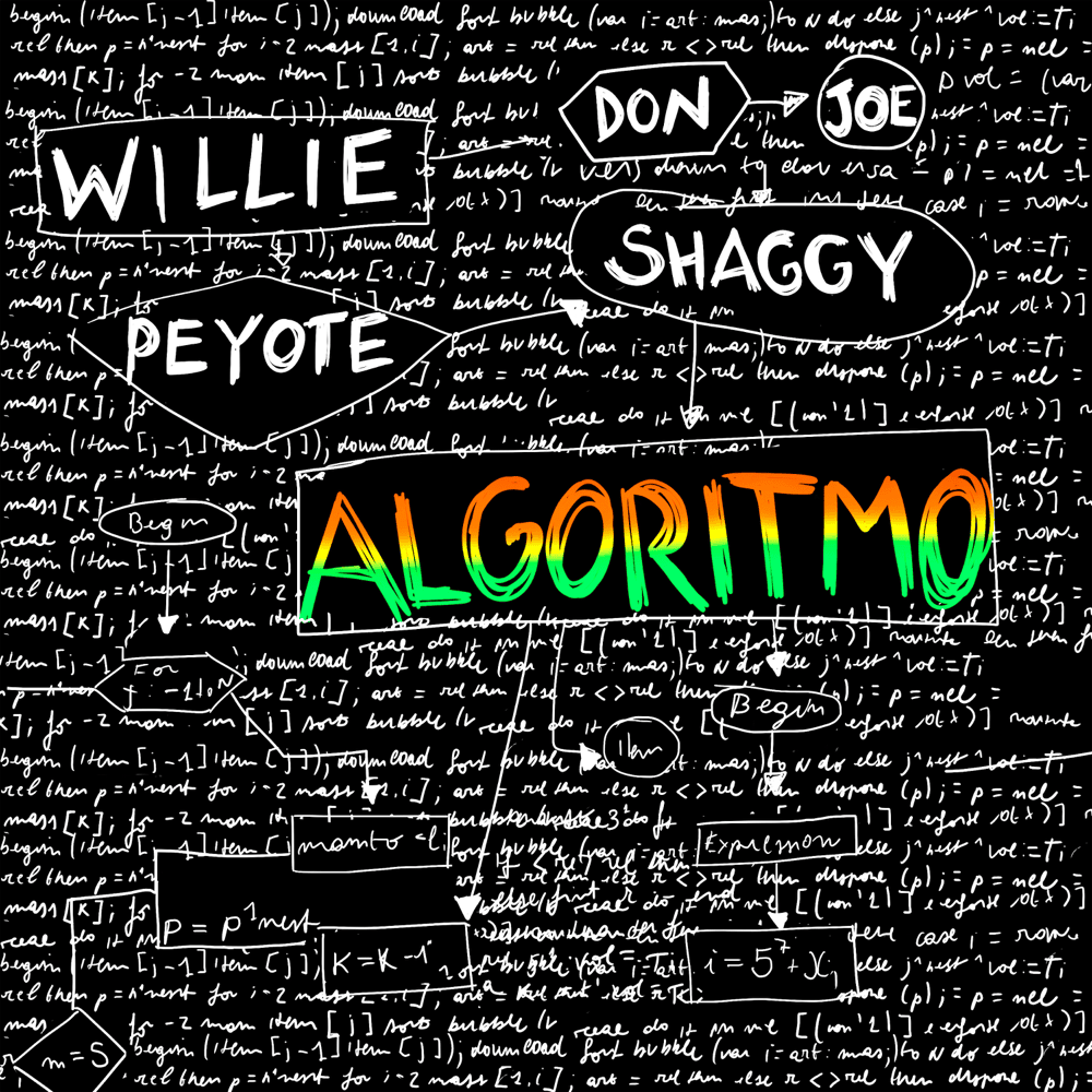 Cover della canzone 'Algoritmo' di Don Joe, Shaggy, Willie Peyote