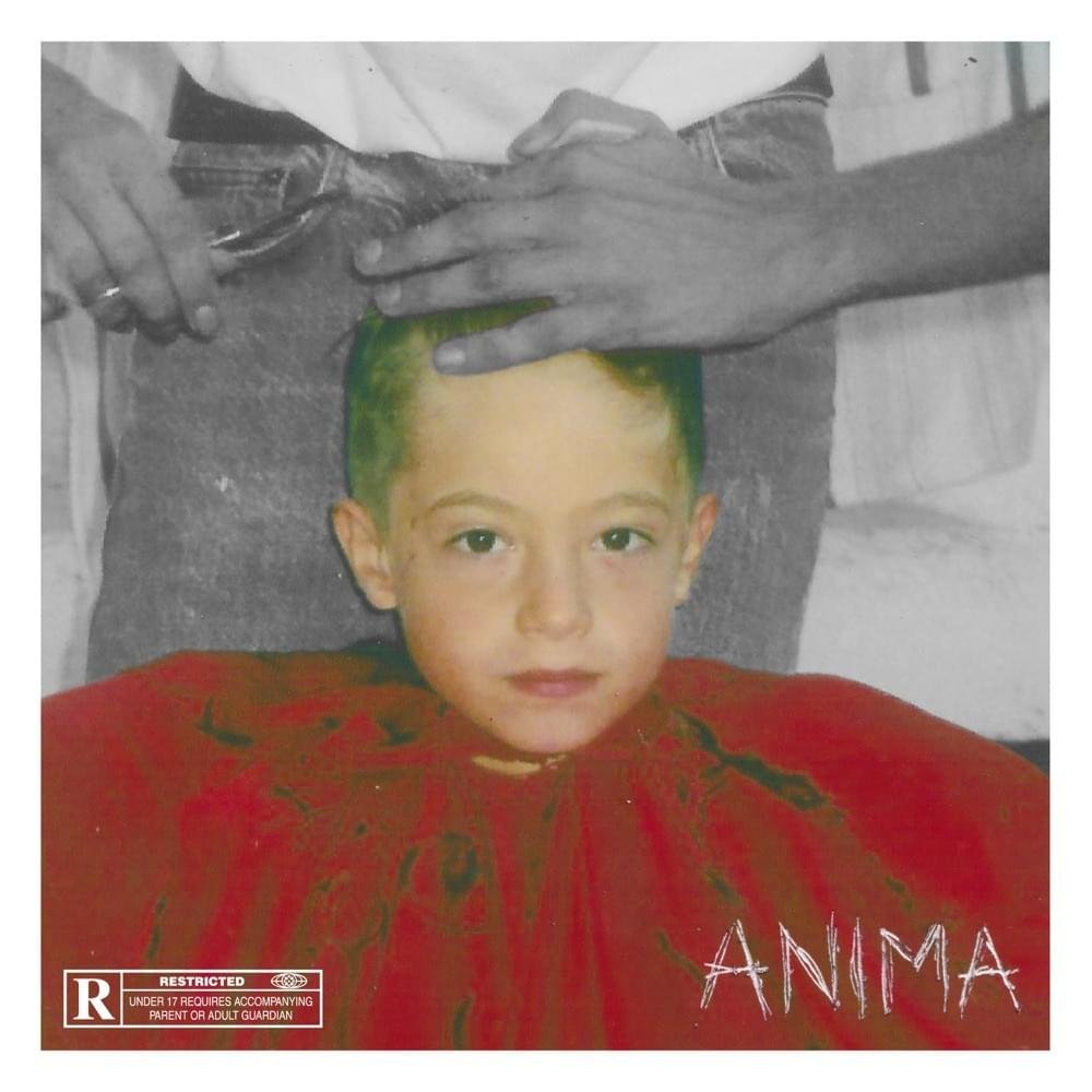 Cover della canzone 'ANIMA' di DrefGold