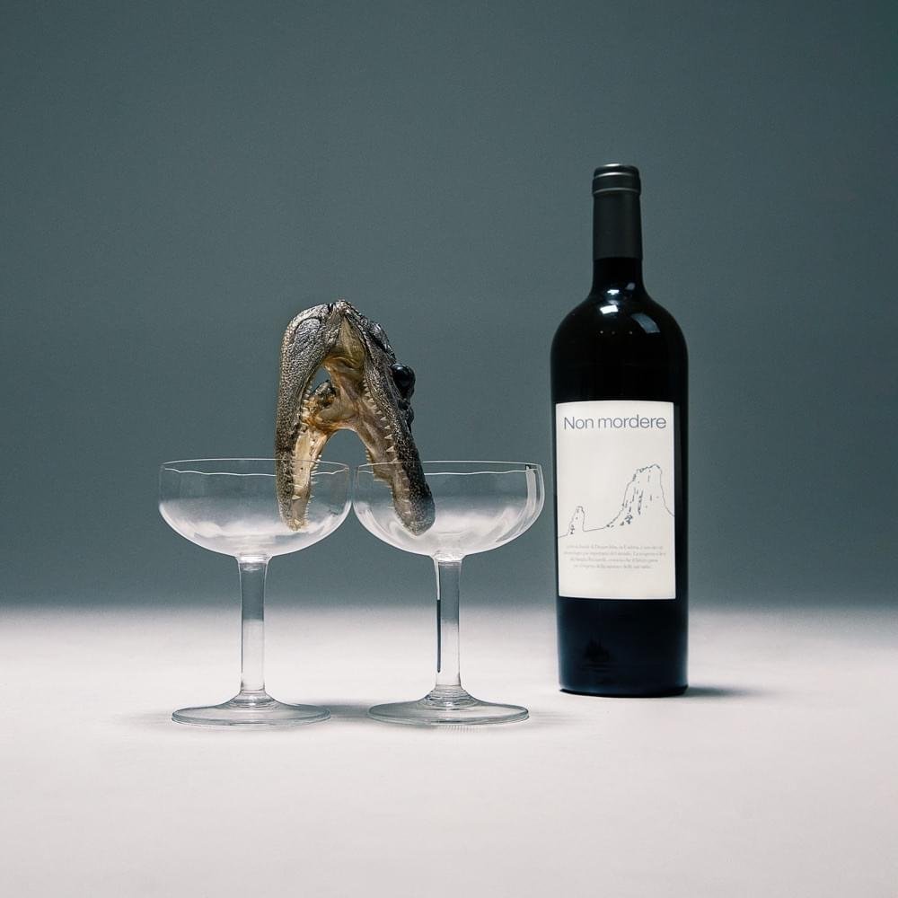 Cover della canzone 'Michelle' di ESSEHO