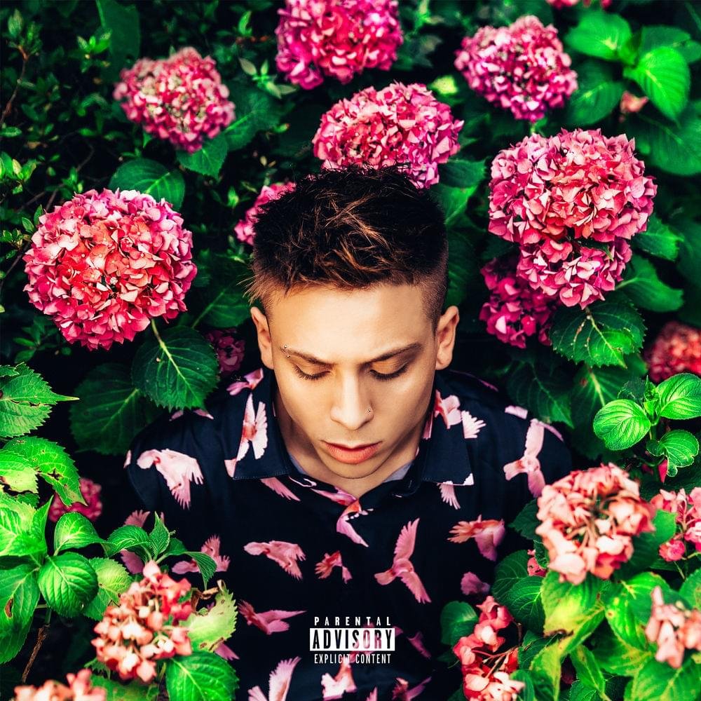 Cover della canzone 'FIORI' di Giaime ft. Lazza