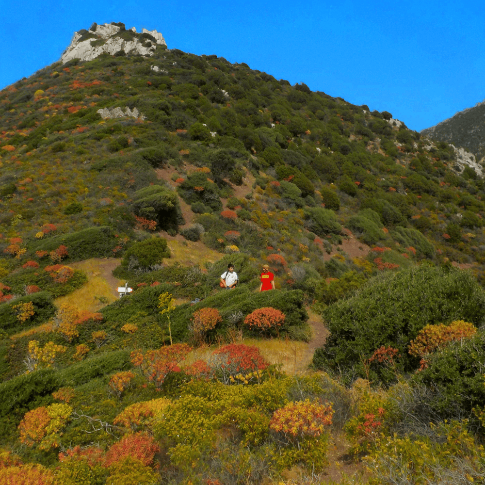 Cover dell'album 'il dolce ricordo della nostra disperata gioventù'
