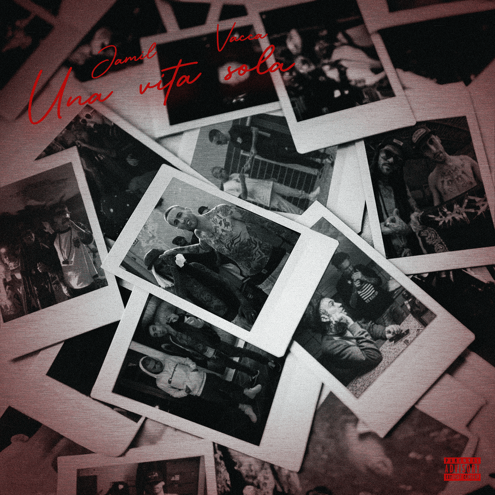 Cover della canzone 'UNA VITA SOLA' di Jamil, Vacca