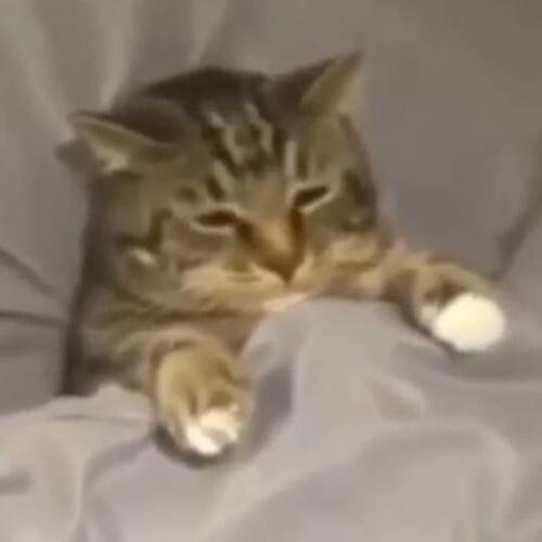 Foto di Kajtek, artista con ruolo nel rap italiano