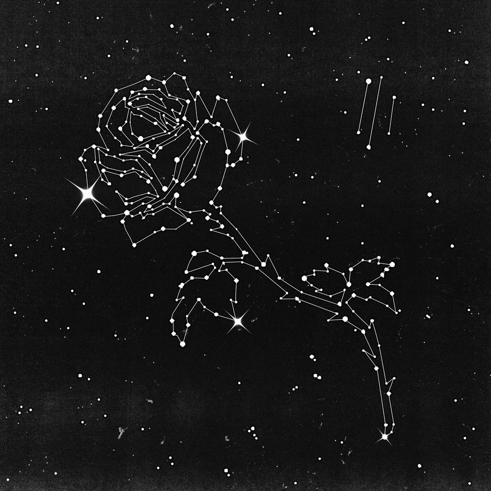 Cover dell'album 'LIBERATO III' di LIBERATO