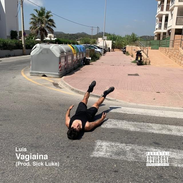 Cover della canzone 'Vagiaina' di Luis Sal