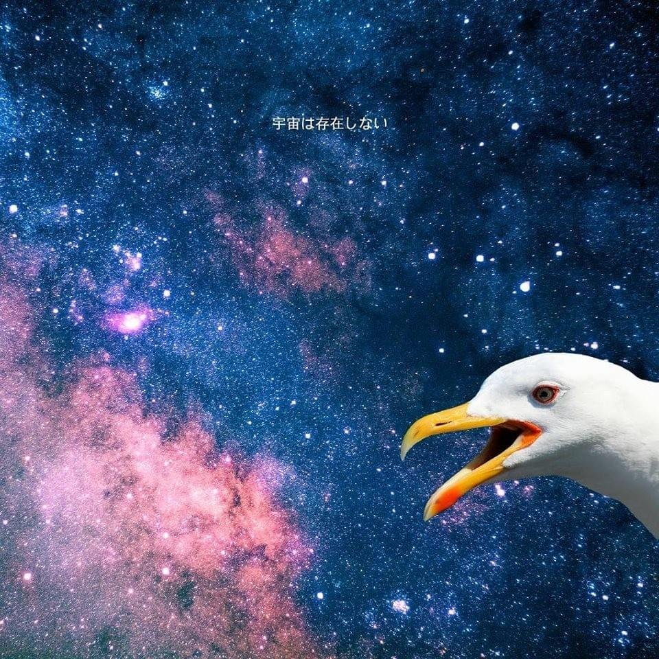 Cover dell'album 'L’universo non esiste'