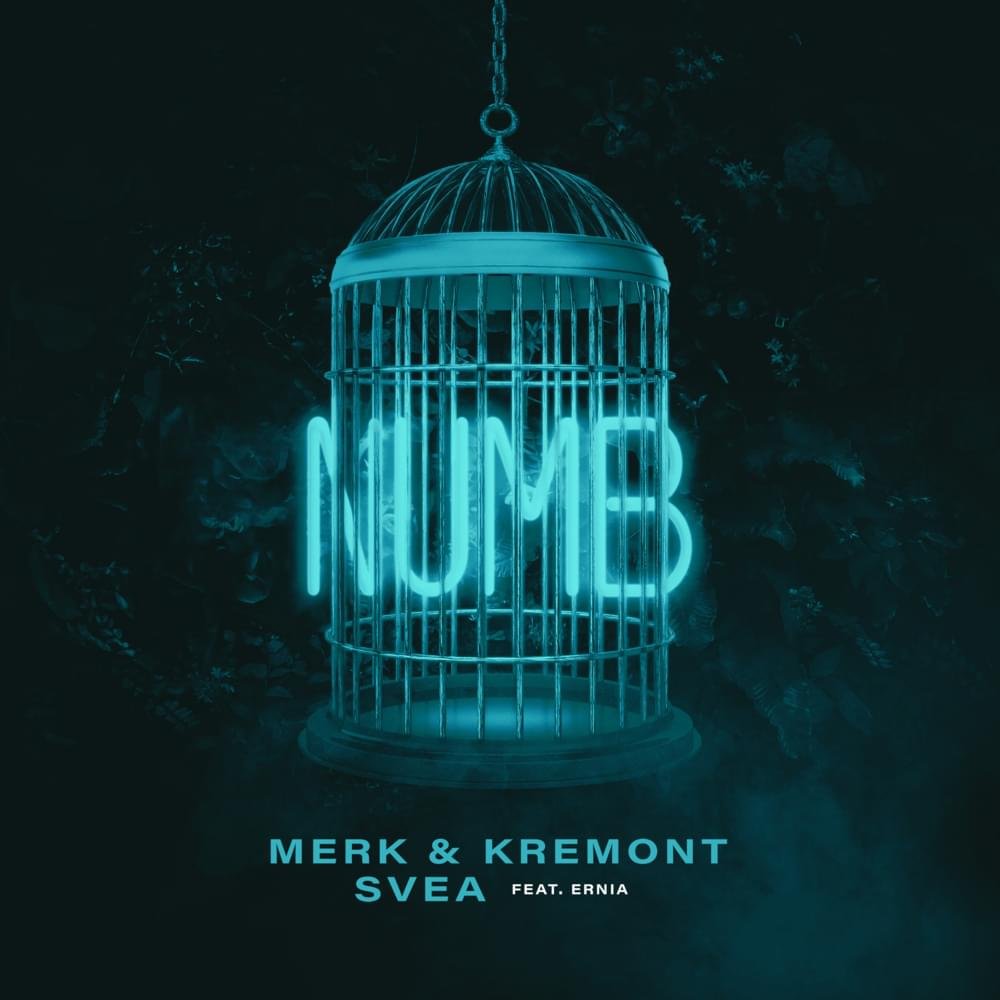 Cover della canzone 'Numb' di Merk & Kremont, SVEA ft. Ernia
