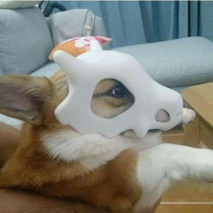 Cover della canzone 'it won’t work' di Moody (ijustfeelmoody)