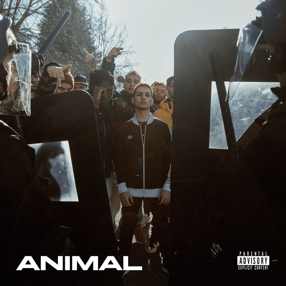 Cover della canzone 'Animal' di nayt