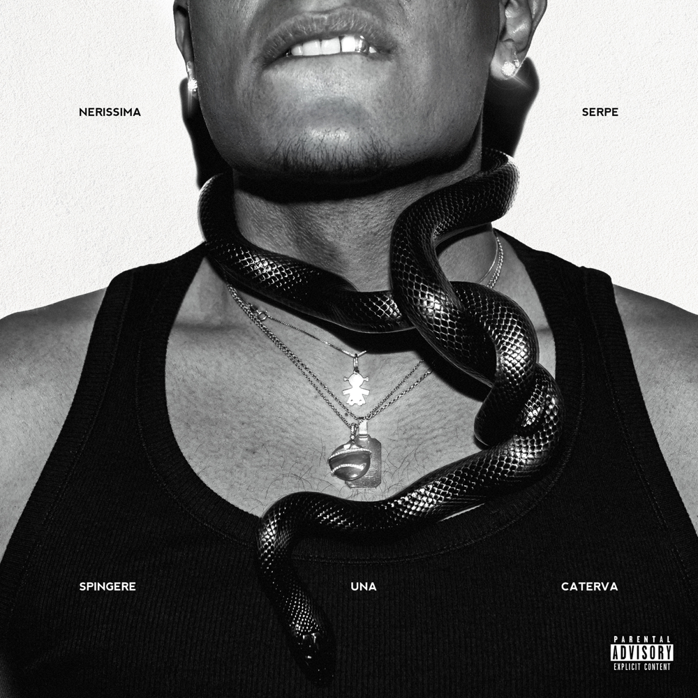 Cover della canzone 'SPINGERE UNA CATERVA' di Nerissima Serpe