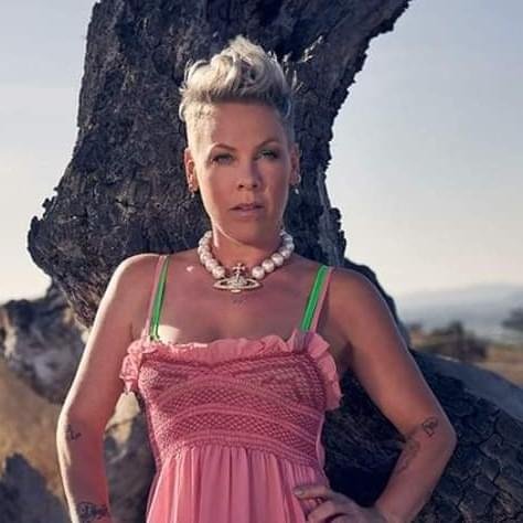 Foto di P!nk, artista con ruolo nel rap italiano