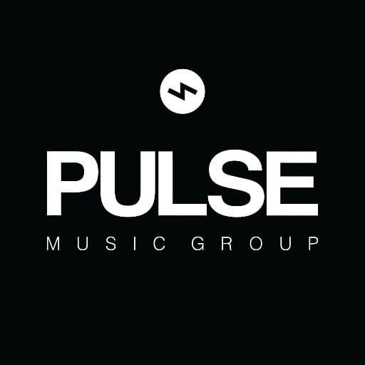 Foto di Pulse Music Group, artista con ruolo nel rap italiano