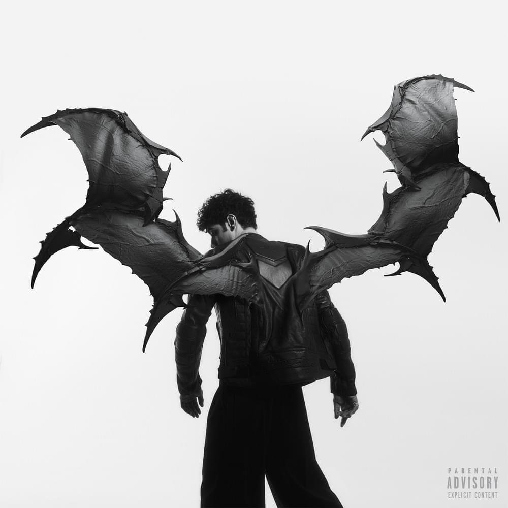 Cover della canzone 'RASOI' di Pyrex (ITA)