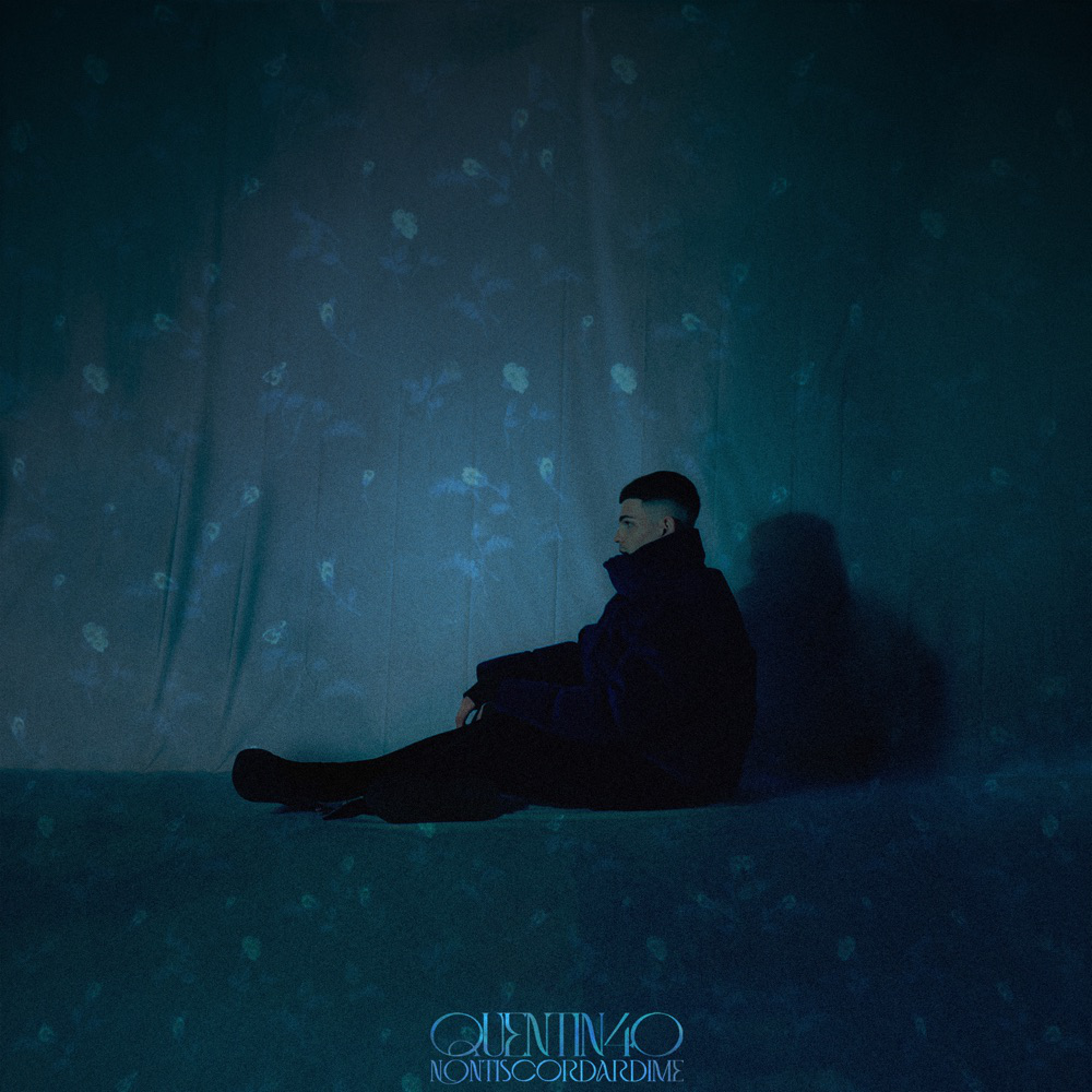 Cover della canzone 'Nontiscordardimè' di Quentin40