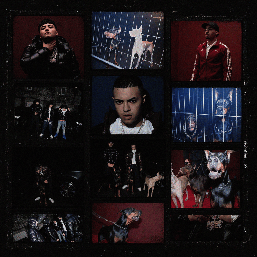 Cover della canzone 'FAIDA' di Sacky ft. Neima Ezza, Vale Pain