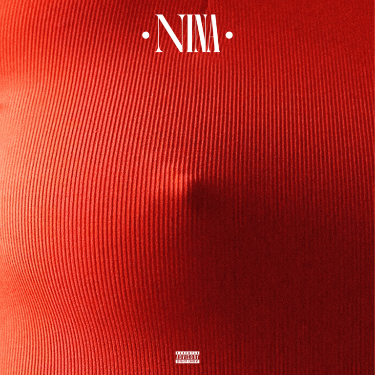 Cover della canzone 'NINA' di Sayf