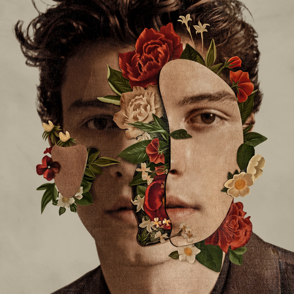 Cover dell'album 'Shawn Mendes (Deluxe)'