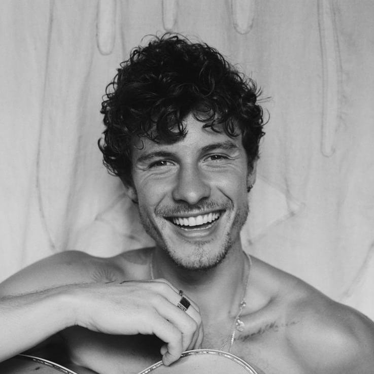 Foto di Shawn Mendes, artista con ruolo nel rap italiano