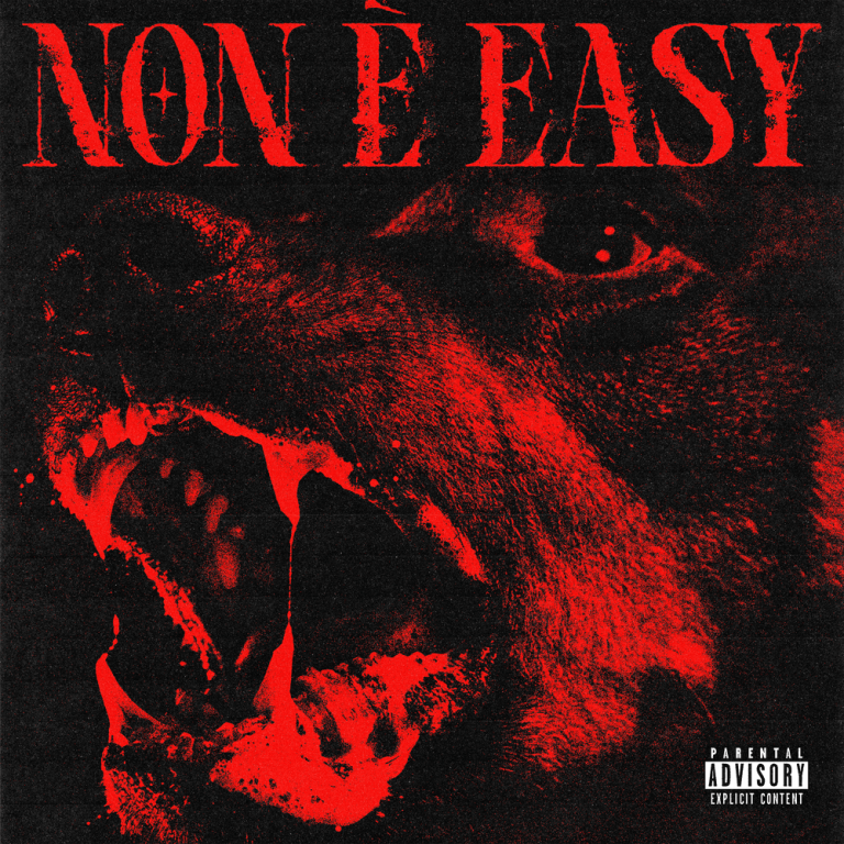 Cover della canzone 'Non è Easy' di Shiva