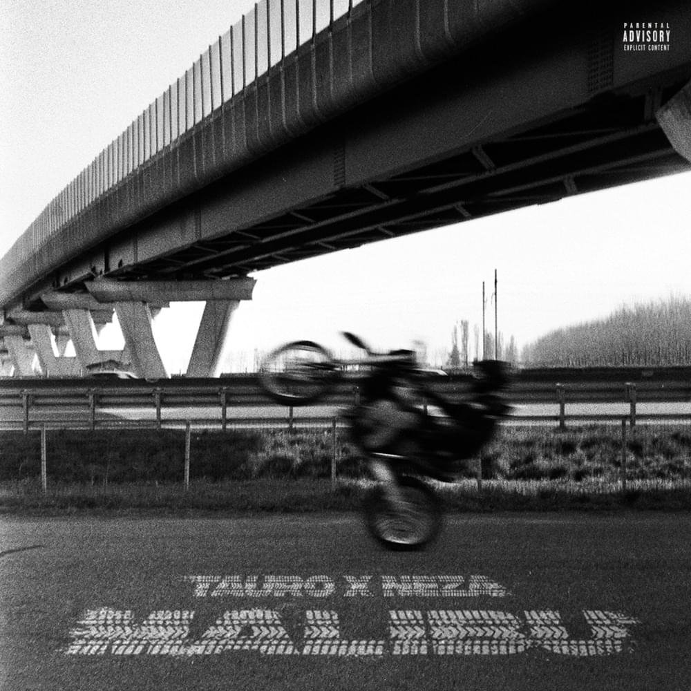 Cover della canzone 'Malibu' di Tauro (ITA) ft. Néza