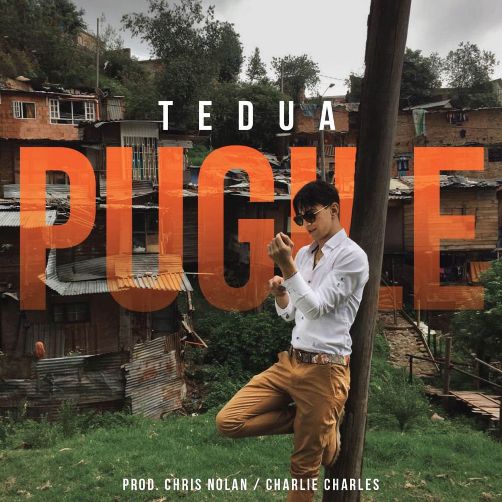 Cover della canzone 'Pugile' di Tedua