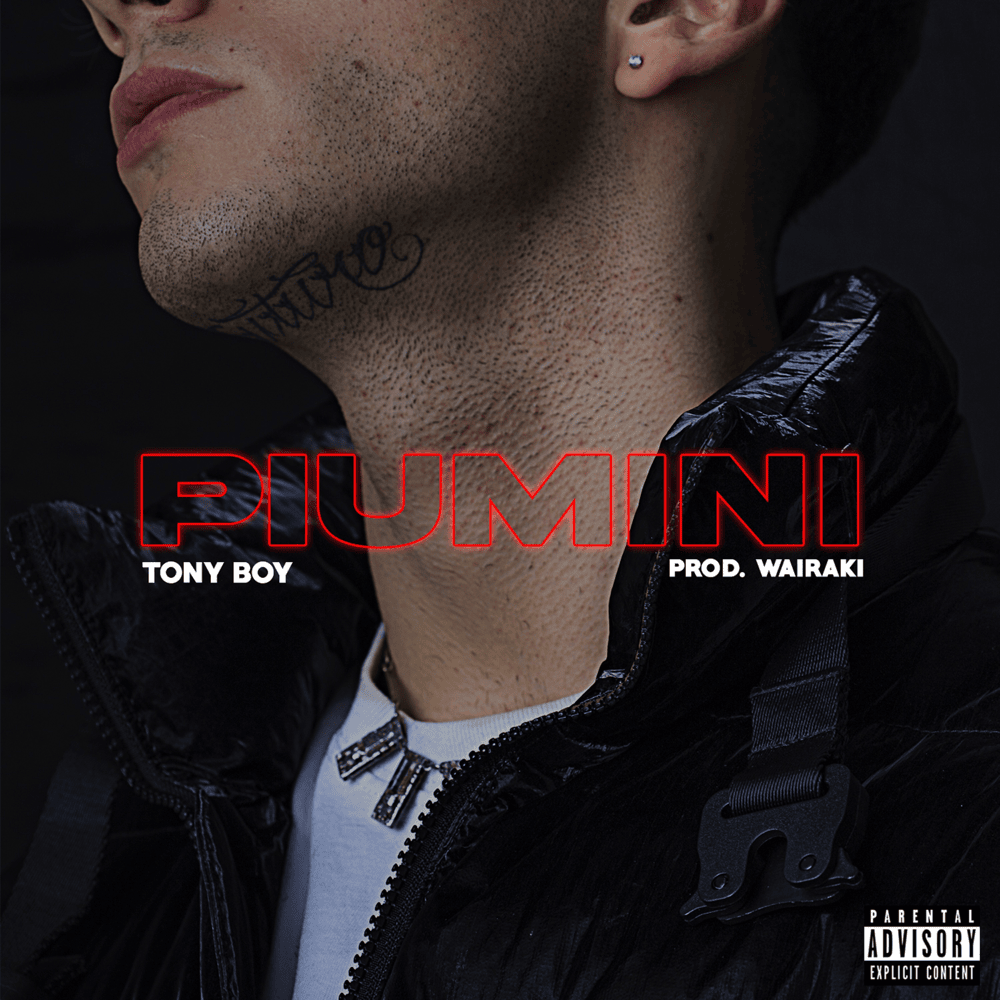 Cover della canzone 'Piumini' di Tony Boy