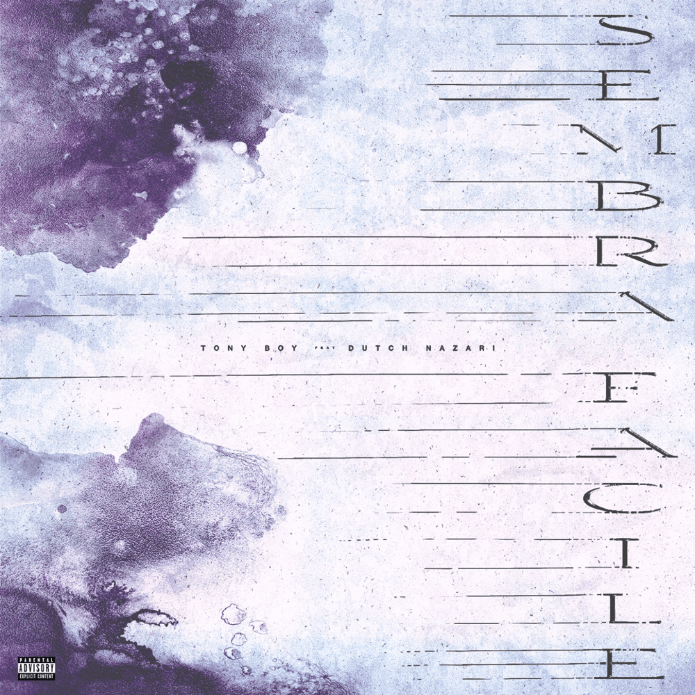 Cover della canzone 'Sembra facile' di Tony Boy ft. Dutch Nazari