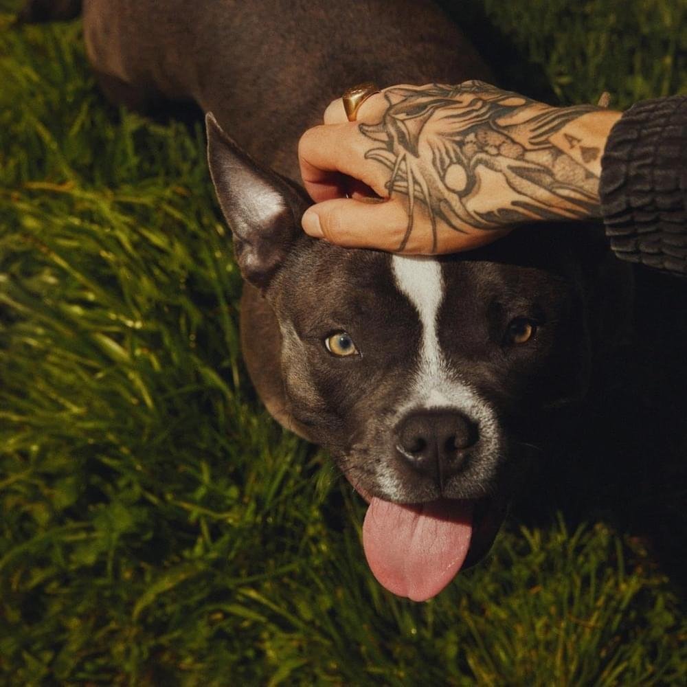 Cover dell'album 'UNA CASA CON JARDÍN'