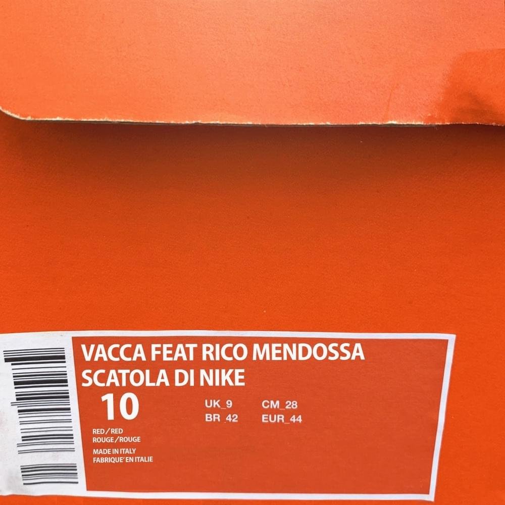 Cover della canzone 'Scatola di Nike' di Vacca ft. Rico Mendossa