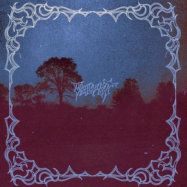 Cover dell'album 'velvet'