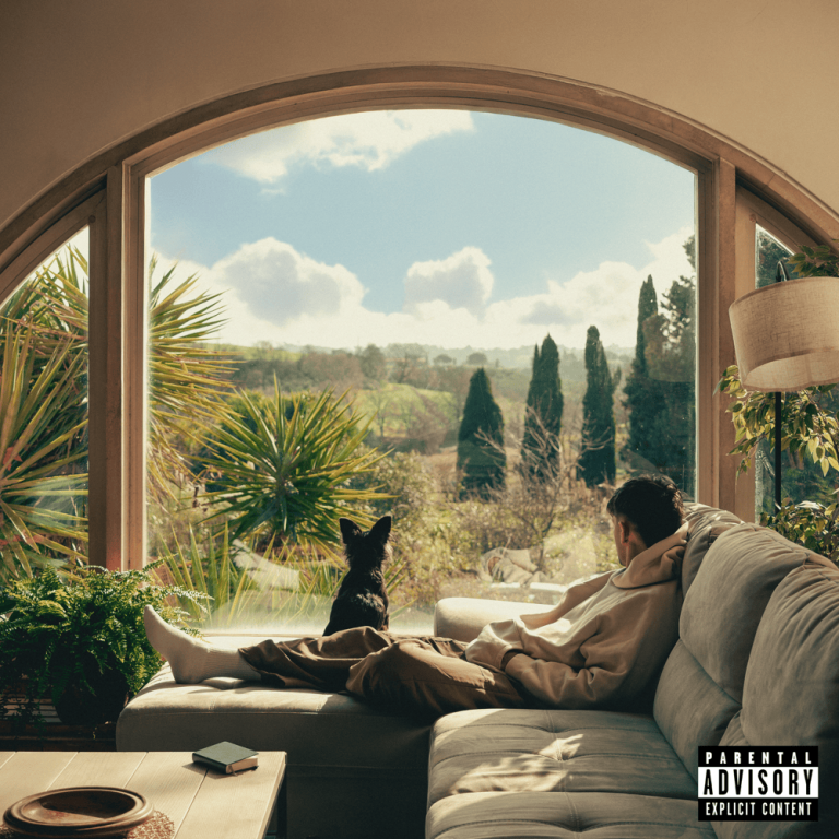 Cover dell'album 'Viscerale'