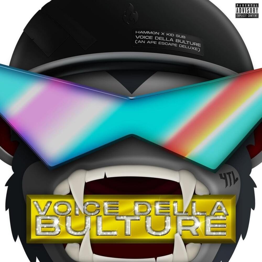 Cover dell'album 'Voice Della Bulture (AAE Deluxe)'