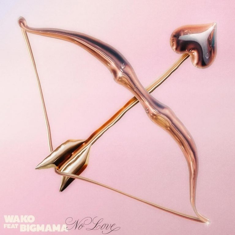 Cover della canzone 'No Love' di Wako ft. BigMama